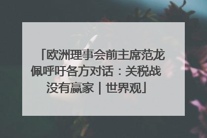 欧洲理事会前主席范龙佩呼吁各方对话：关税战没有赢家｜世界观